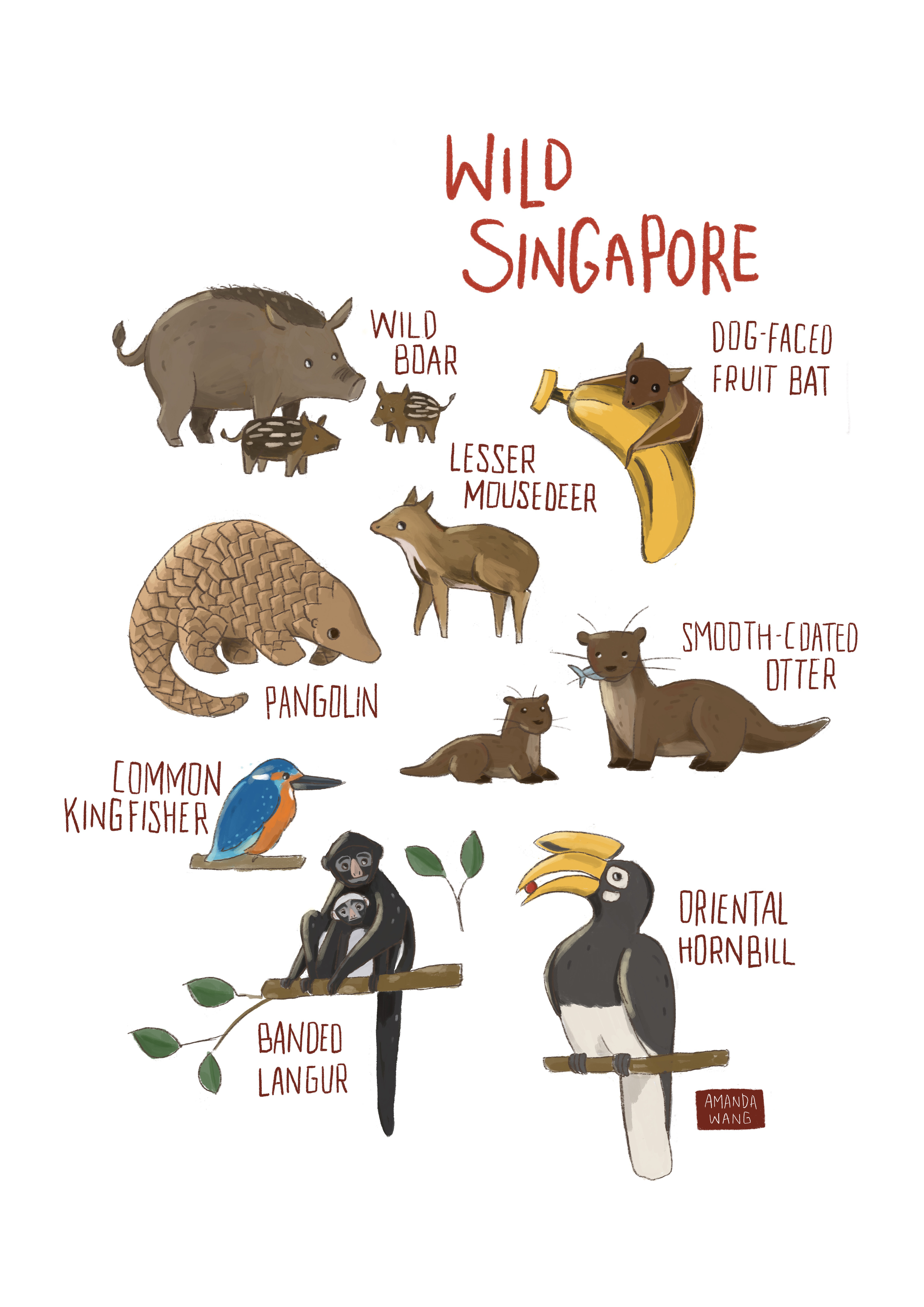 A fun, educational illustrated poster showing some of the wild life Singapore, featuring wild boar, fruit bat, mousedeer, pangolin, otters, hornbill, king fisher, and langur.